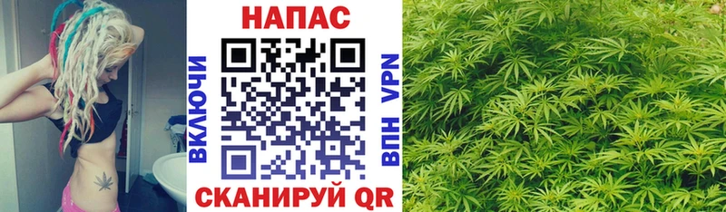 Виды наркоты Светлогорск Alpha PVP Бошки Шишки Меф АМФЕТАМИН ГАШ