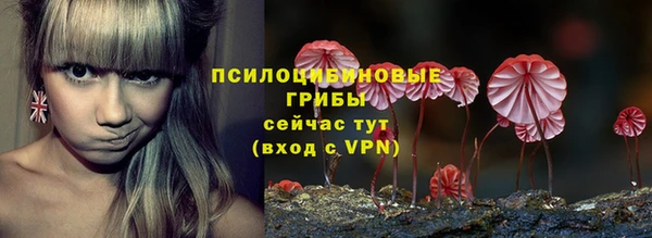 спиды Белокуриха