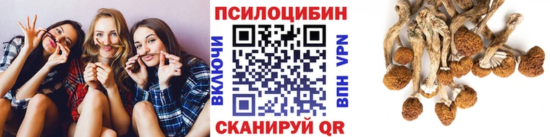 Галлюциногенные грибы Psilocybine cubensis Светлогорск
